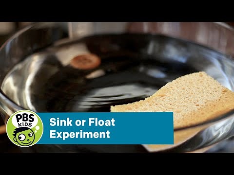 Sink or Float Experiment | Crafts for Kids | PBS KIDS for Parents