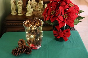 18K views · 343 reactions | Here's a really easy to make Pinecone Centerpiece using a Dollar Store vase, some pinecones and battery-powered string lights! | Garden Lovers Club | Facebook