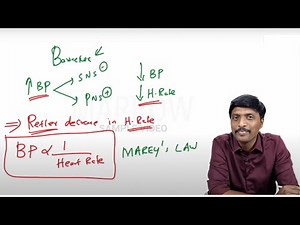 E6 Sample Video: Baroreceptor reflex in the Short Term Regulation of Blood Pressure (Physiology)