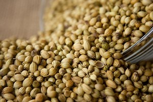 10 Health Benefits of Coriander seeds - Masala Monk Coriander