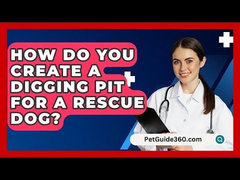 How Do You Create A Digging Pit For A Rescue Dog? - PetGuide360.com