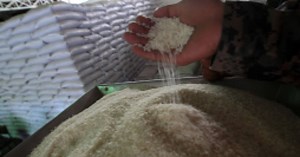 Denuncian contrabando de arroz en Honduras