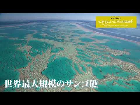 旅するように学ぶ世界遺産（短縮版）『グレート・バリア・リーフ』
