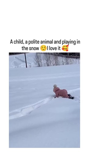MemesBazaar.io™ on Instagram: "@bitzcasino The post shares a 22-second video of a toddler in a pink snowsuit playfully interacting with a baby donkey in snowy terrain, including chasing, hugging, and rolling, captioned to evoke wholesome joy and amassing 767k views. Replies reveal widespread detection of AI generation, citing glitches like the child's hand phasing through the donkey, unnatural glossy backgrounds, and a randomly appearing snowball, confirming it's fabricated content. This viral c