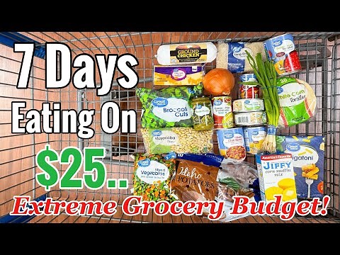 I Turned $25 Into 7 Meals… Here’s What I Made | Julia Pacheco