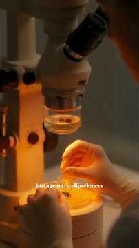 The Miracle of Modern Medicine: IVF (In Vitro Fertilization)