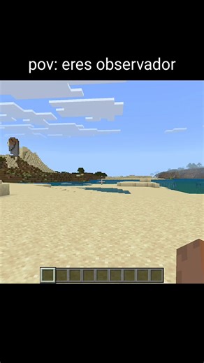 Pero fue bueno no? #minecraft #humor #java #bedrock