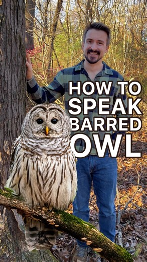 Sam | Naturalist | Nature Education | 🦉 How to “Speak” Barred Owl! 🦉 Did you know you might already understand barred owl language without realizing it? Their famous call... | Instagram