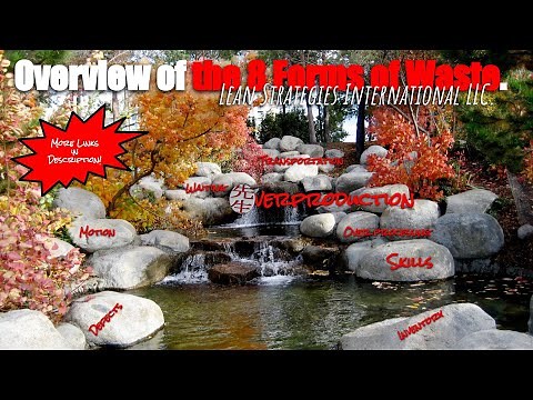 Introduction to the 8 forms of waste