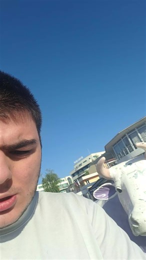 Амброзия: полезные свойства и применение