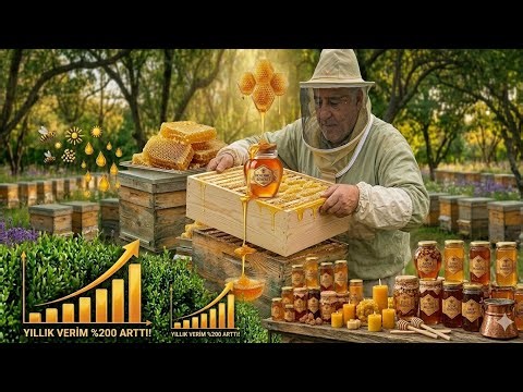 German Method of Adding Supers to Beehives 🐝 System that Increases Yield!