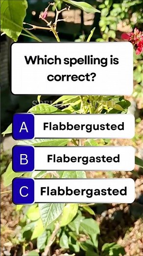Which spelling is correct? ✍️🔥 Can you get it right? 😱 #SpellingQuiz #English #Quiz