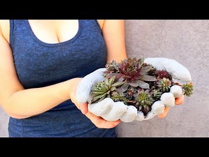 DIY Hand Shaped Cement Planter - Papercrete Pot