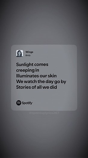 Wings by Birdy - Emotional Song Lyrics Explained