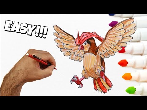 Drawing Pidgeotto | Easy Art for Beginners