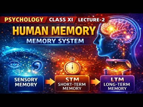 HUMAN MEMORY | MEMORY SYSTEM | PSYCHOLOGY CLASS XI | LECTURE-2
