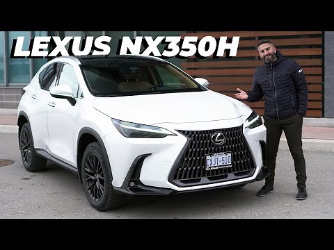 2023 Lexus NX350H EXTERIOR & INTERIOR WALKAROUND! [WHITE PEARL & PALOMINO]