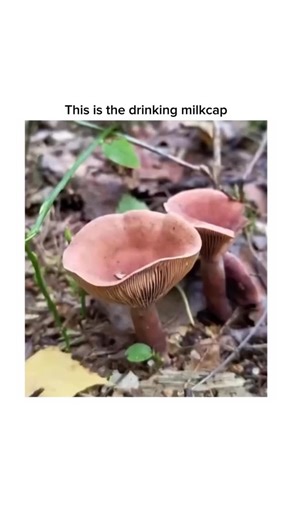 Space Astro | Hypedrop: the logo you ignore until someone wins a PS5. #reels #science #sciencefacts #viral #trending #typ #foryou #interesting | Instagram