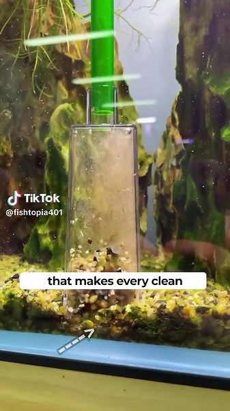 Get this Aquarium Siphon on Fishtopia today because buddy CLEANS the tank faster 😮