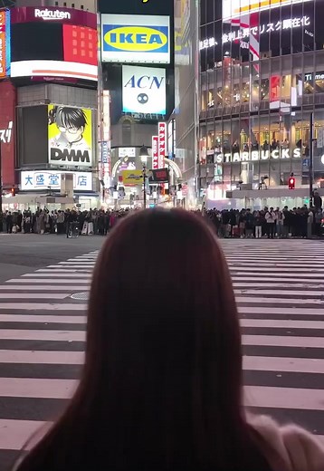 Japan travel highlights 2024: quick Tokyo & culture guide