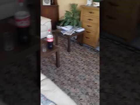 Comment installer House Party pour [Windows,Mac et Linux]