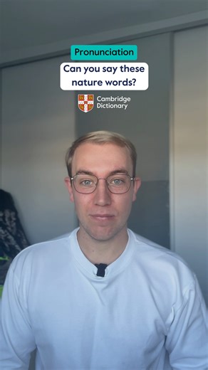 How do you pronounce this word? 🗣️ Find the answer on the Cambridge Dictionary website, link in the first comment. ⬇️ #LearnEnglish #CambridgeDictionary | Cambridge Dictionary