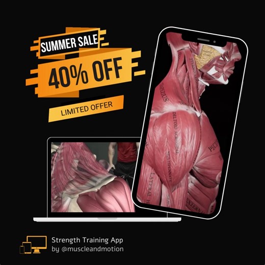 260 reactions · 29 shares | This app will help you better understand how to properly target specific muscles by using the most efficient alignment, positioning, and lifting technique for each exercise! | Muscle and Motion | Facebook