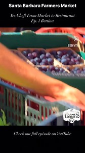 1.4K views · 25 reactions | Welcome to our new film series, “Yes...