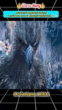 அசோகரின் சக்தி அடக்கிய 9 நூல்கள்... 📕⚡ #shorts #shortsfeed #tamilvoiceover