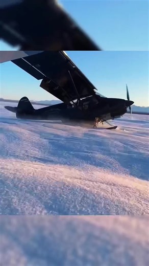 Why Is the Cub Airplane So Adaptable?#aviation #stol #cubaircraft #flyinglife #backcountryflying #aircraftdesign #pilotlife #aerospace