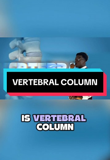 Vertebral Column Explained: Anatomy Class