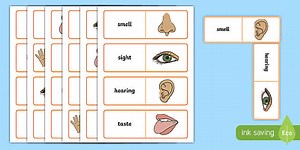 The 5 Senses Dominoes