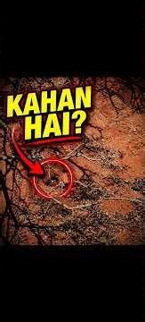 “FBI bhi ise nahi dhundh paayi 😳” #Fbi #hide #game #searching #challange