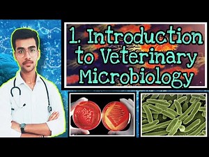 Introduction to Veterinary Microbiology || by Aniket tyagi || Vet study