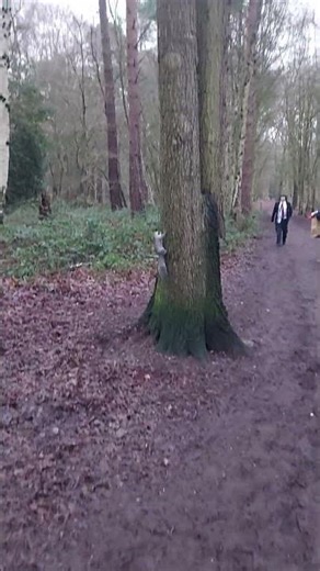 Run squirrel run!!!