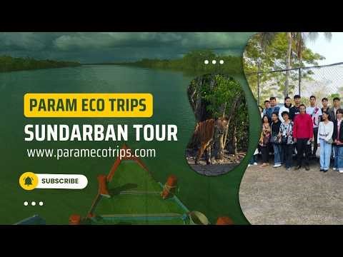 Sundarban Boat Safari Explore the Mangrove Forest