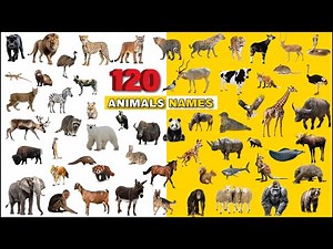120 Wild Animals names In English | Wild Animals Vocabulary | 120 Animals Names #animals