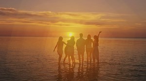 Cheerful friends seeing the sunset on the beach - Free Stock Video