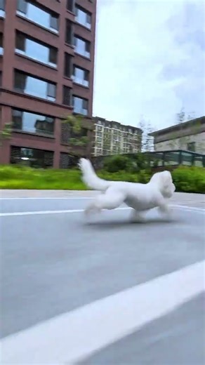 The waistline is getting more like a cheetah! Run! #Puppy #Pet #Digital Monster #Rampage