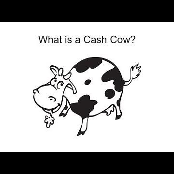 What is a Cash Cow?
