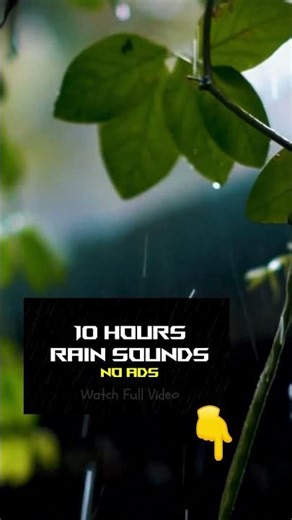 10 Hours Rain Sounds for Sleep 🌧️ | Black Screen | No Ads | Relaxing Rain Ambience #rain