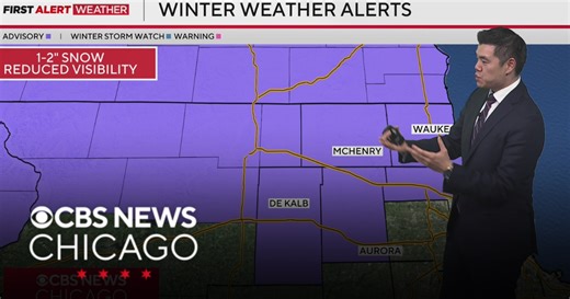 Cook among 5 Illinois counties under winter weather advisory