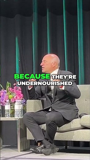 Unlock the Secrets of Your Cat's DNA: Base Paws Cat DNA Testing