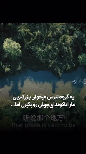 Neda sasanipour on Instagram‎: "🎥 آناکوندا 2024 🔥 هم اکنون میتوانید فیلم اکشن ترسناک ماجراجویی «Anaconda 2024» را با زیرنویس فارسی چسبیده و کیفیت عالی 1080p WEB-DL از وب سایت وای موویز دانلود و تماشا نمایید. 📥 دانلود از وای موویز ➕به همراه پخش آنلاین با زیرنویس فارسی و انگلیسی 🌟 IMDB: 5.8 🍅 Rotten Tomatoes: 83% ✅ Metacritic: 70"‎