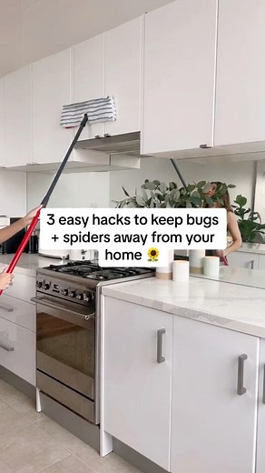 2.2M views · 18K reactions | Say goodbye to bugs + spiders entering...