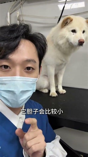 Incredible Guard Dog Alert: Watch This Nervous Reaction