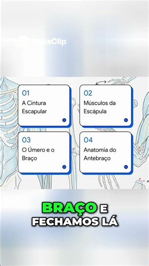 Anatomia do Braço Guia Completo e Segmentado #anatomiahumana #fisioterapia #dicasdeestudo