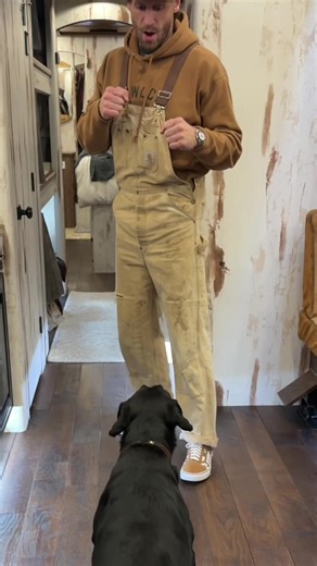 Heartfelt Country Music for Dog Lovers