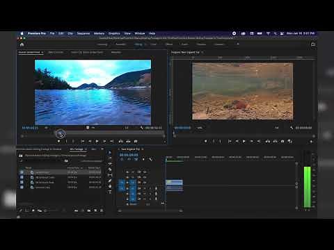 How to Add Clips to Your Timeline in Premiere Pro