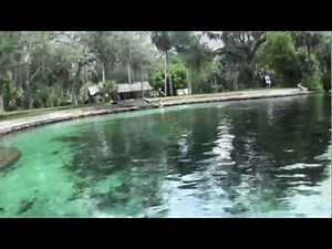 Natural Florida - Juniper Springs